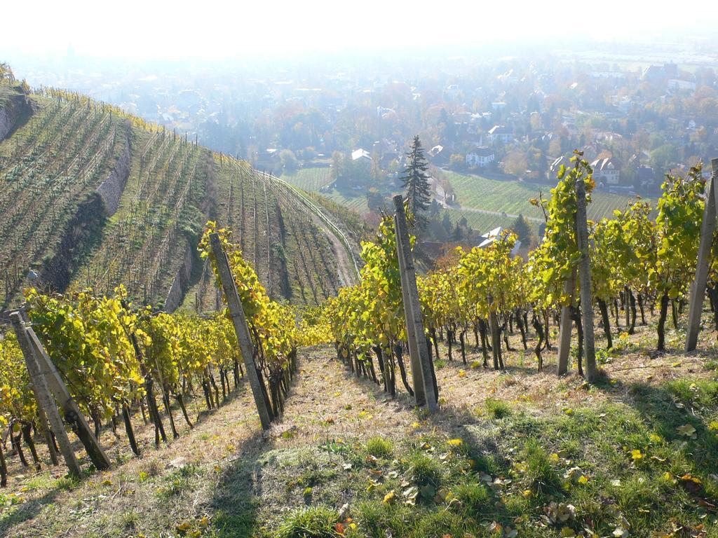 Ferienwohnung Villa Fiedler Dresda Cameră foto